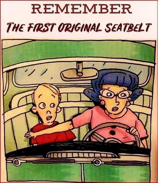 First Seatbelt.jpg