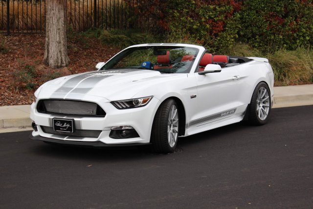 2016 SHELBY GTE.JPG